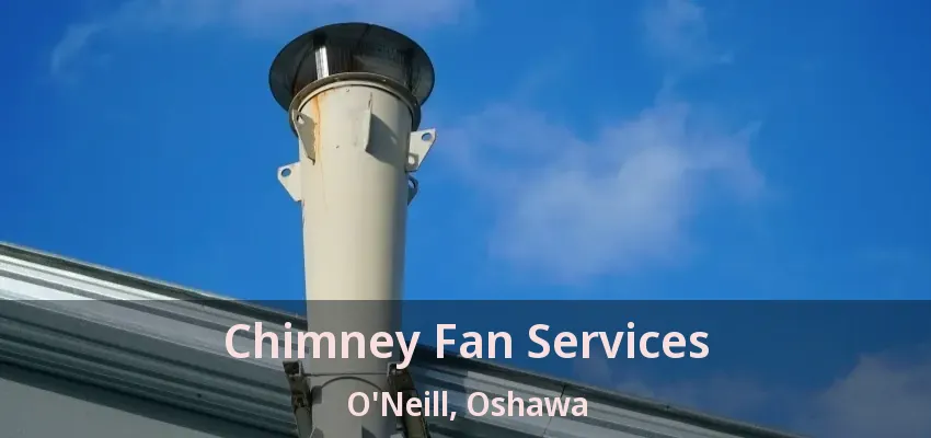 Chimney Fan Services O'Neill, Oshawa - ON