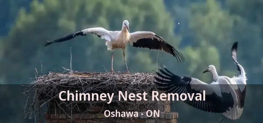 Chimney Nest Removal Oshawa - ON