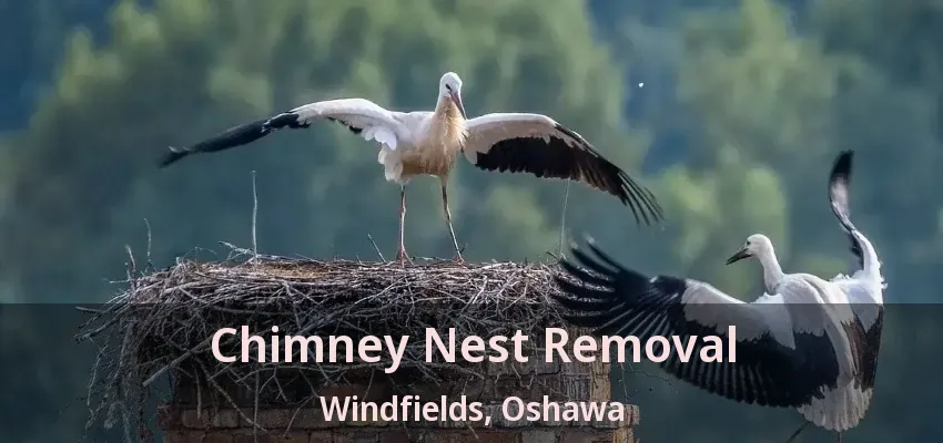 Chimney Nest Removal Windfields, Oshawa - ON
