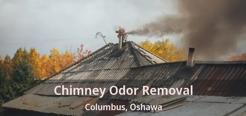 Chimney Odor Removal Columbus, Oshawa - ON