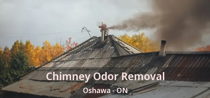 Chimney Odor Removal Oshawa - ON