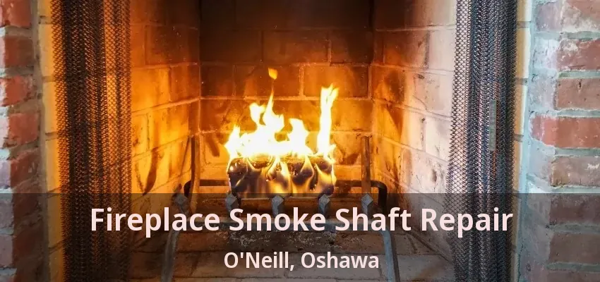Fireplace Smoke Shaft Repair O'Neill, Oshawa - ON