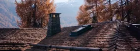 Chimney Animal Removal Oshawa